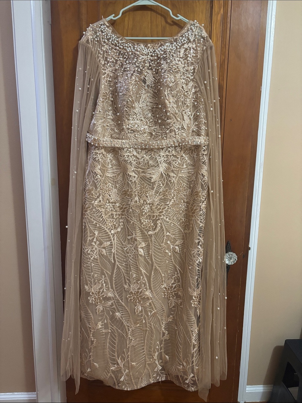 Embellished Lace dress in Champagne
